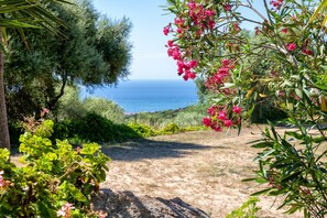 Ein Gartenweg, der zu einem Meerblick führt, umgeben von Grünpflanzen und blühenden Blumen.