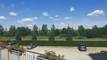 Área da propriedade