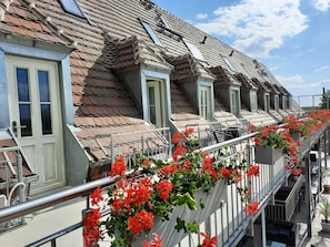 Uklassifisert bilde, 4 av 51, knapp