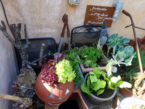 Unclassified image, 1 of 33, button