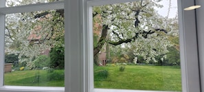 Imagen sin descripción, 5 de 58, botón