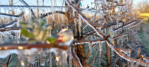 Ground-floor vacation apartment, quiet, lovingly furnished, thatched roof - Ferienwohnung Maaß