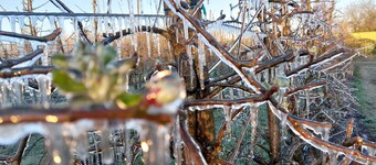 Ground-floor vacation apartment, quiet, lovingly furnished, thatched roof - Ferienwohnung Maaß