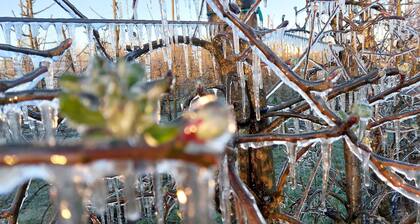 Ground-floor vacation apartment, quiet, lovingly furnished, thatched roof - Ferienwohnung Maaß