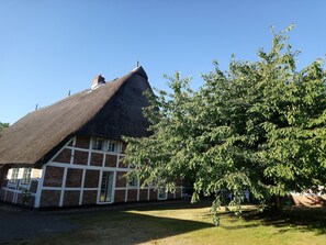 Imagen sin descripción, 4 de 58, botón