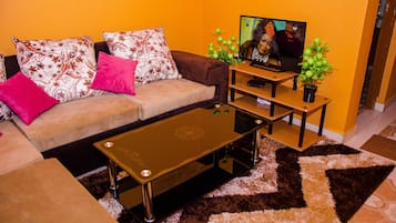 TV