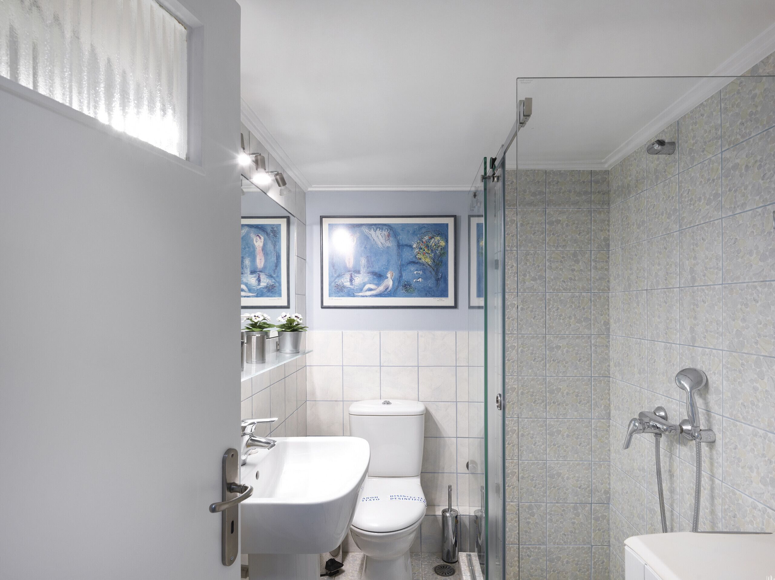 Regadera y secadora de cabello 