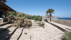 Un patio de piedra con cactus y una palmera, con vistas al paisaje costero.