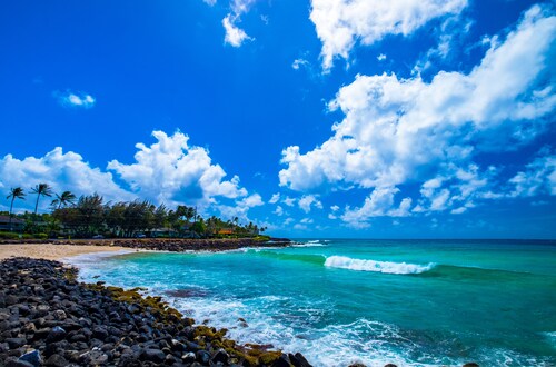 Boutique Condo with Contemporary Art: Steps from Scenic Poipu Beach Trail.