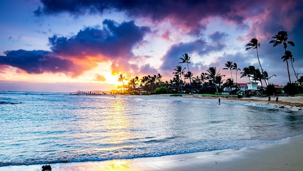 A beach with palm trees and a sunset.