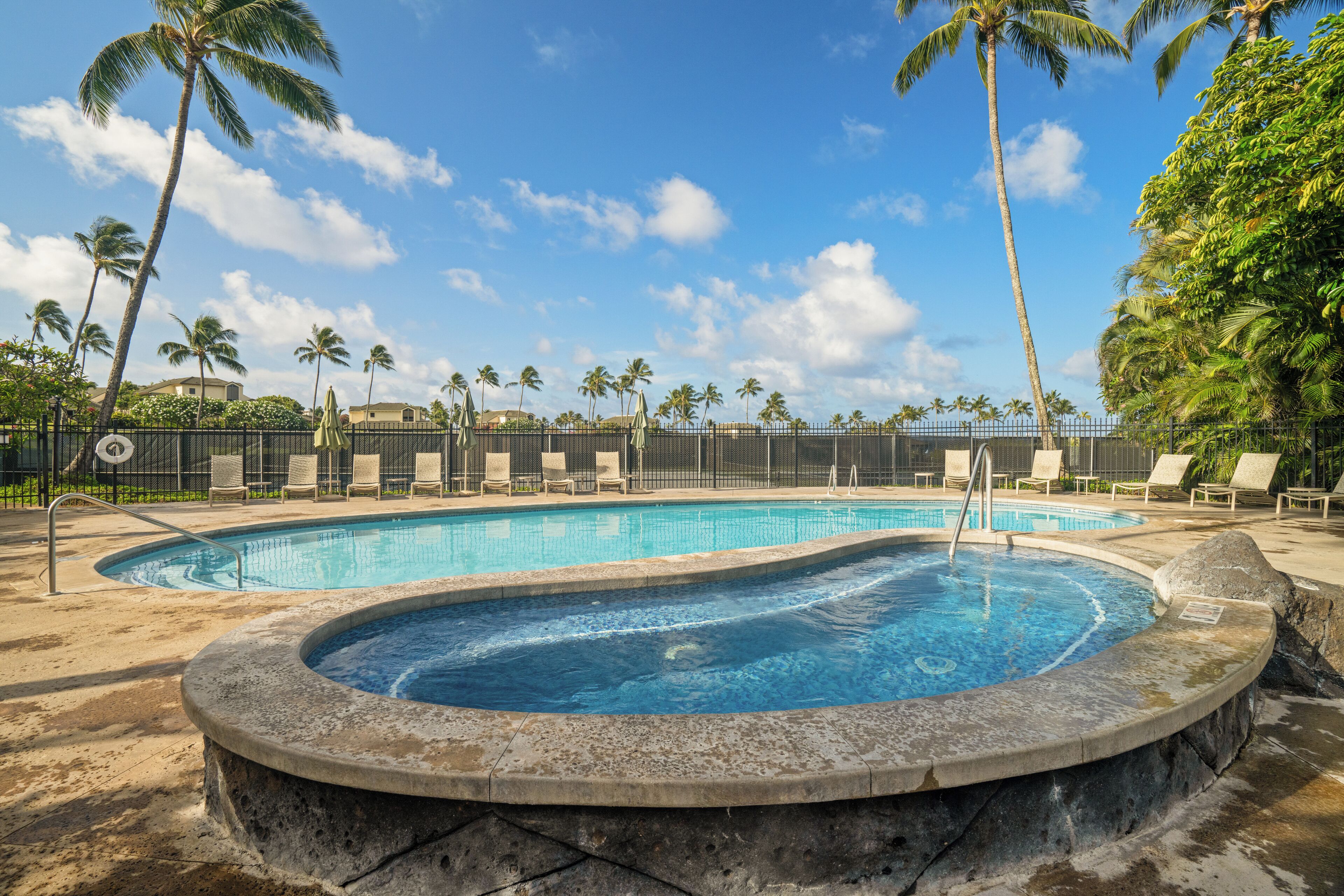 A swimming pool with lounge chairs and palm trees.