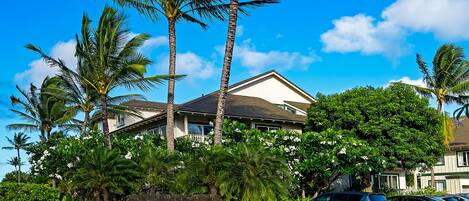 A hotel with a sign reading "Regency at Poipu Kai," surrounded by lush greenery and palm trees.