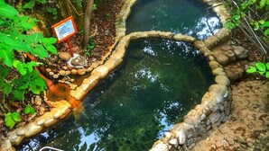 A natural pond with a stone border, surrounded by greenery and a sign indicating it is a wildlife habitat.