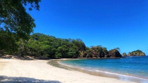 A beach with clear blue water, sandy shore, and lush green trees.