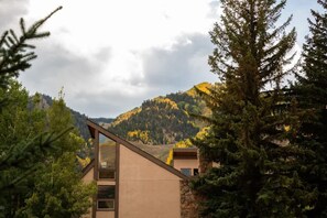 Exterior - Aspen Core Renovated 2 BR, 2 BA with AC (Aspen)