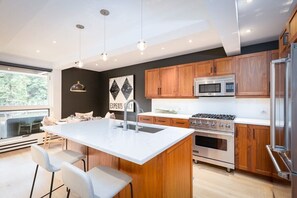 Fridge, microwave, oven, stovetop - Aspen Core Renovated 2 BR, 2 BA with AC (Aspen)