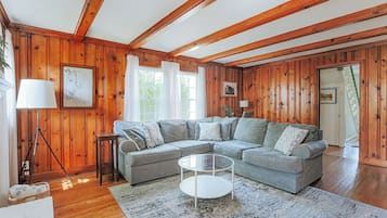 TV connectée, cheminée, livres