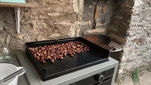 Uklassifisert bilde, 2 av 30, knapp