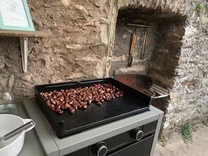 Property grounds - The little blue house in the medieval village (Olargues)