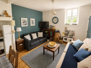 TV, DVD player, books, video library - The little blue house in the medieval village (Olargues)
