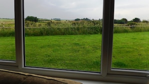 Blick durch ein Fenster auf ein Wiesenfeld mit Holzzaun und Bäumen in der Ferne.