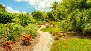 A garden pathway surrounded by lush greenery and palm trees. - Baywatch Cabin- Boat Dock on the Channel (Captiva)