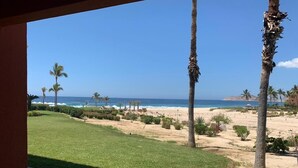 A view of a beach with palm trees and a clear sky. - Beach Front Pool Fully Kitchen Breathtaking Sea Views Close to Everything (San Jose Del Cabo)