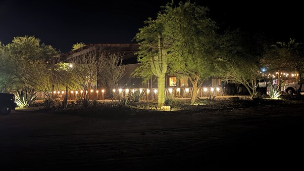 Un edificio con un gran árbol en primer plano, rodeado de un jardín bien iluminado.