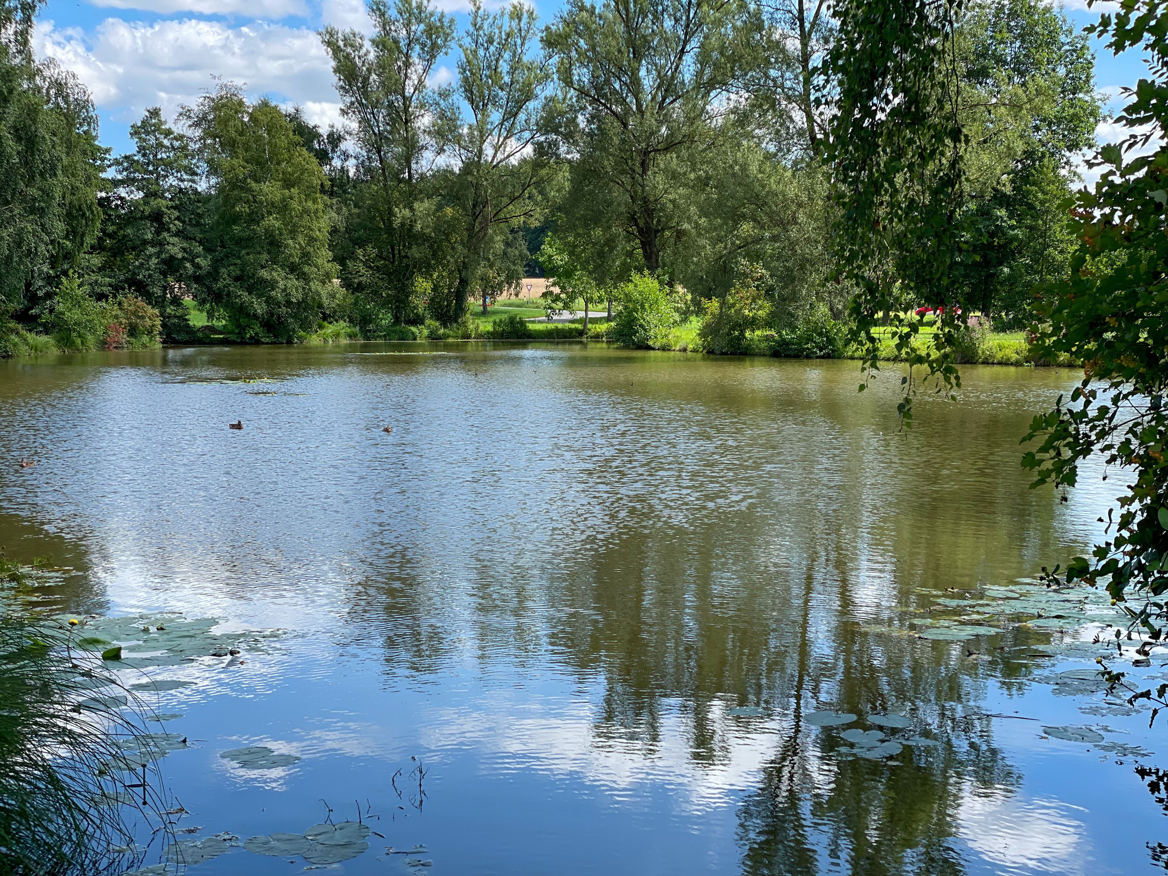 Um lago tranquilo rodeado por vegetação exuberante e árvores.