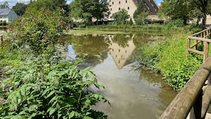 A tranquil pond with a wooden bridge, surrounded by lush greenery and a traditional building with a steep roof.