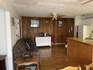 DVD player - Pine Street Getaway - Quiet Location Close to Town (Permit #Tlcr36) (Lake City)