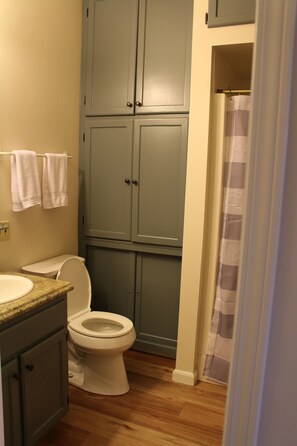 A bathroom with a toilet, sink, and cabinets. -  Charming house near Maramec Spring Park, Steelville/St. James (Steelville)