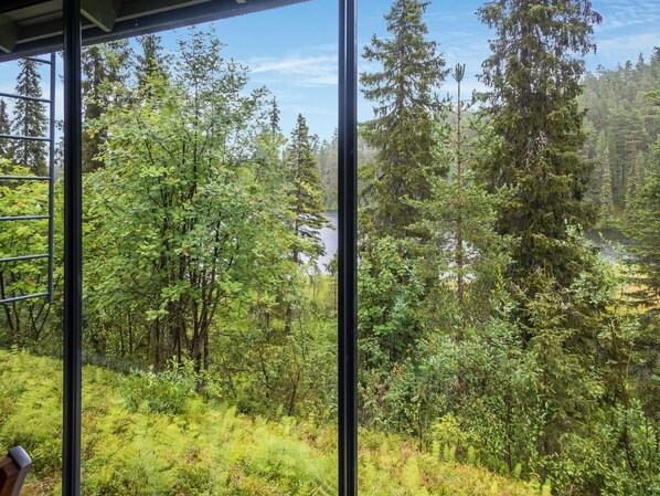 A view through large windows of a forested area with a lake.