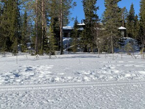 Eksteriør