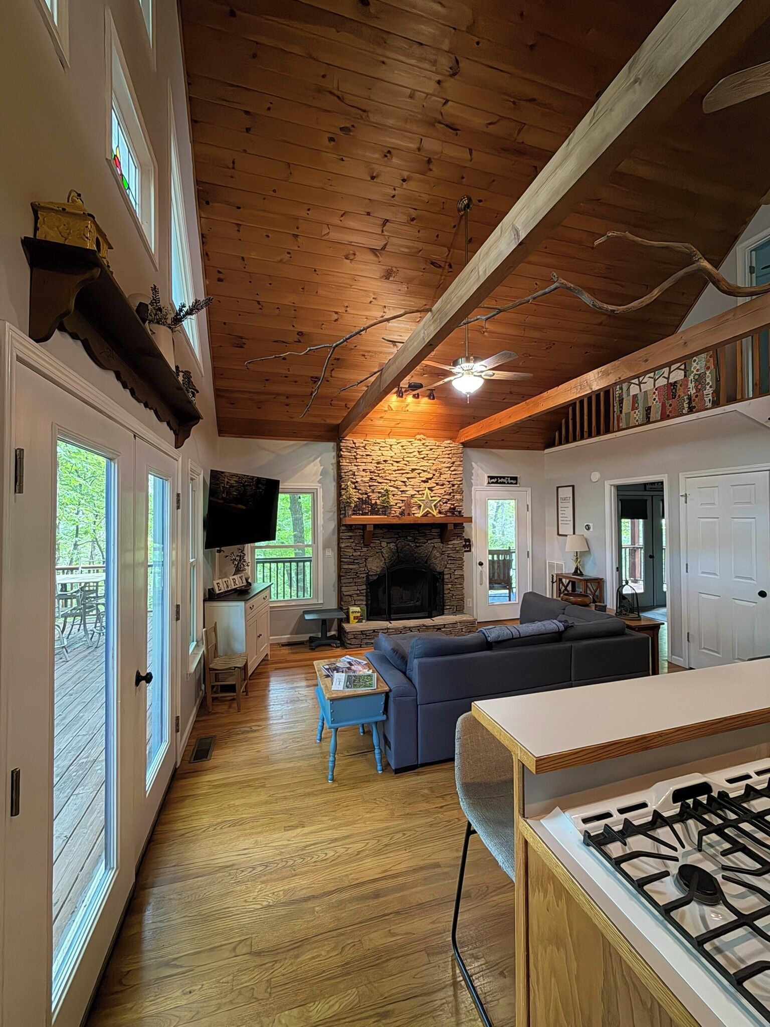 Smart TV, fireplace