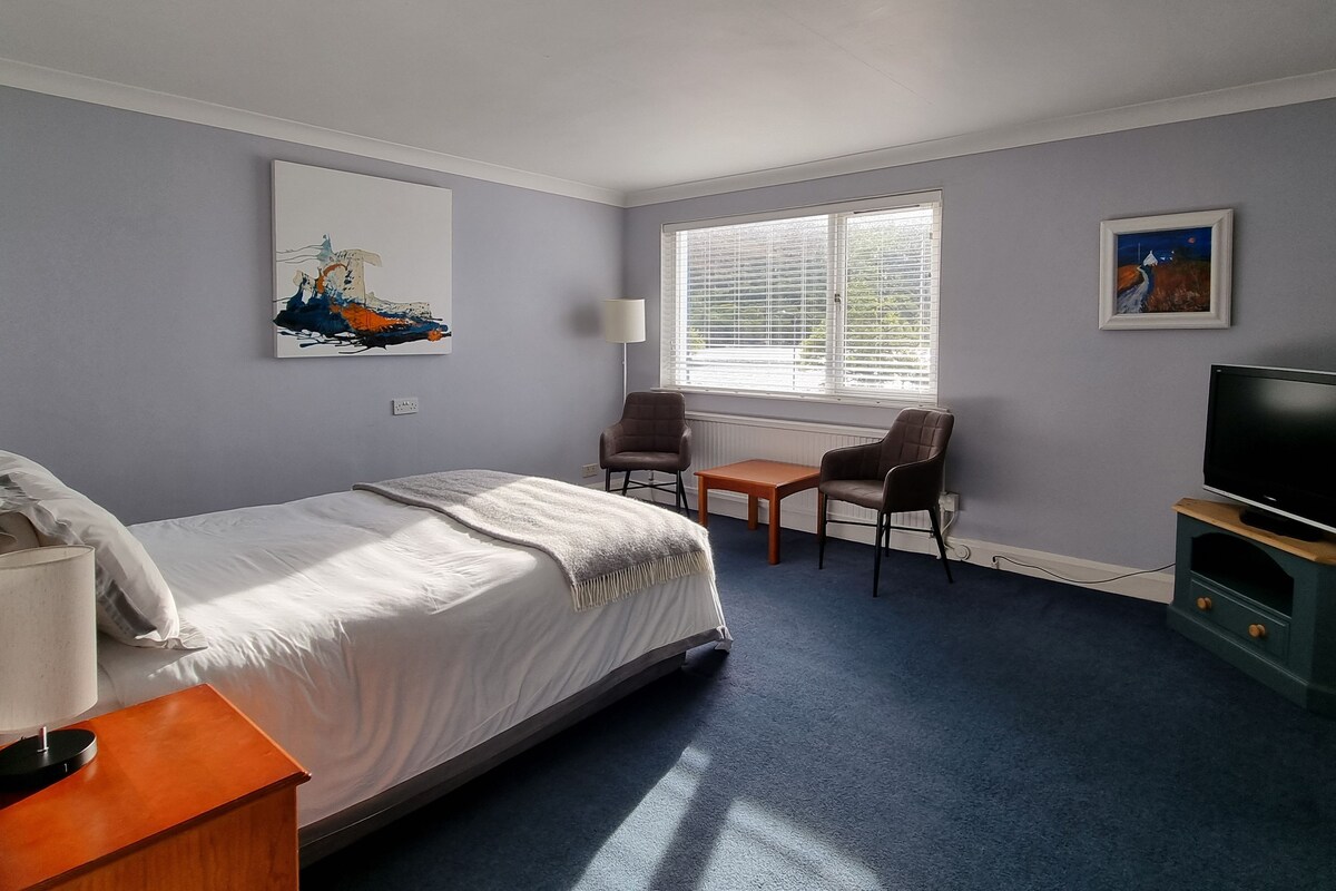 A hotel room with a bed, a desk, a chair, a TV, and artwork on the walls.