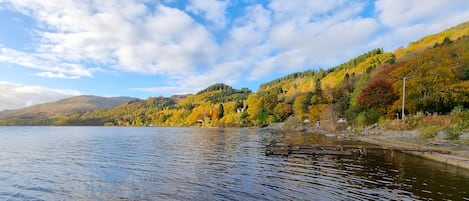 A calm lake with a forested hillside in the background.