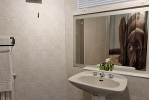 Un baño con un lavamanos blanco, un perchero para toallas y un espejo que refleja a un perro.