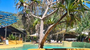 Un área de piscina con sillones de descanso y una palmera.