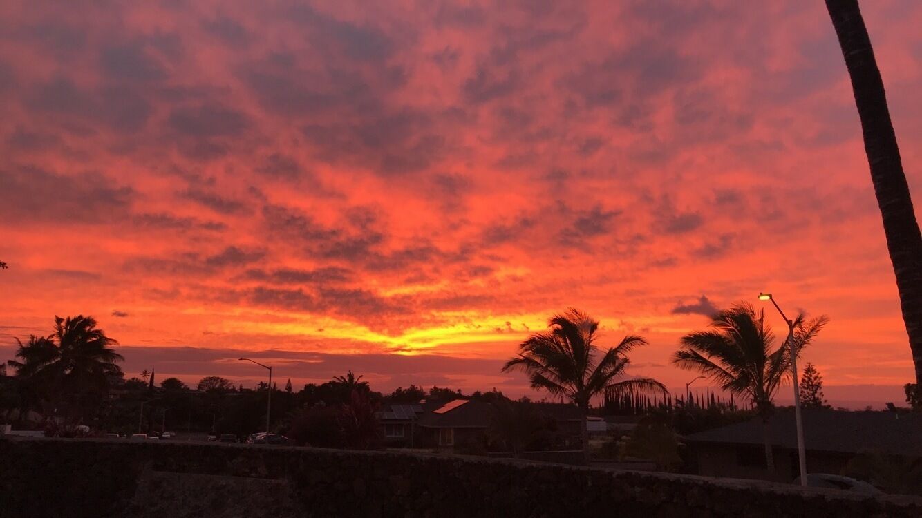 A sunset with a vibrant sky, palm trees, and a road with houses in the foreground.