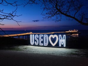 Unclassified image, 2 of 26, button