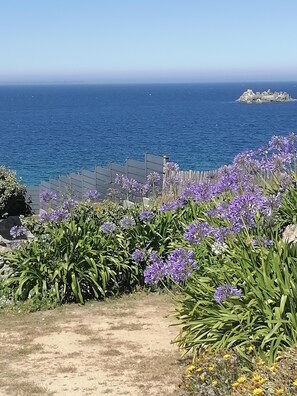 Terrain de l’hébergement 