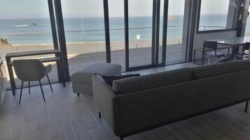 Televisión, chimenea, reproductor de DVD y libros