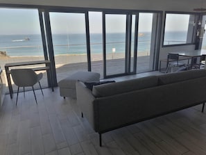 Televisión, chimenea, reproductor de DVD y libros