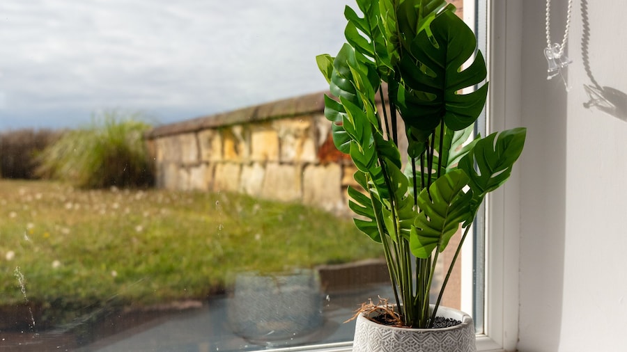 Shore View - Donnini Apartments