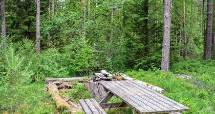 Gorgeous home in Markaryd