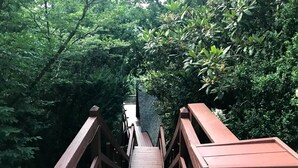 A wooden staircase leading upwards through a dense forest. - HOT TUB,  Unique A-Frame Cabin, Walk to ski resort (Mars Hill)