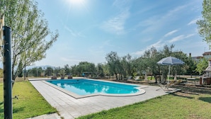 A rectangular swimming pool with a tiled deck, surrounded by grass and trees.