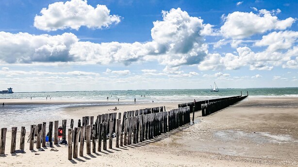 A beach with a wooden jetty, calm sea, and a sailboat in the distance. - 1 bedroom nice apartment in Zoutelande (Zoutelande)