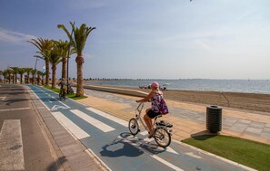 Playa en los alrededores y pesca 